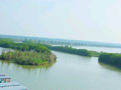 android_upload_pic-大湾区中央湿地公园