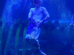 -西安曲江海洋极地公园