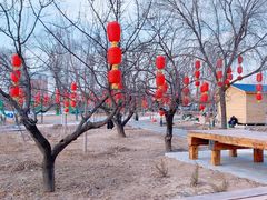 -辛庄国际文化艺术区