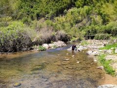 -宁波浙东大竹海景区