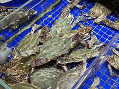 -高佳庄·舟山海鲜(海景旗舰店)