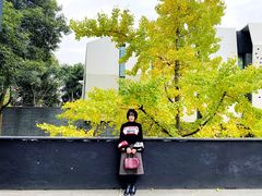 -成都许燎源现代设计艺术博物馆