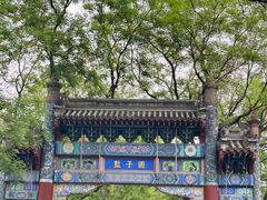 -北京国子监胡同