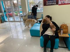 -美联众合动物医院·24h京西诊疗中心