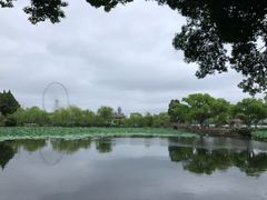 -无锡蠡湖国家湿地公园-蠡园