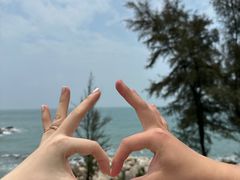 -广东惠东海龟国家级自然保护区