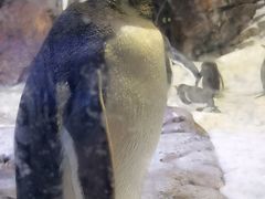 -波塞冬海底世界