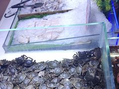 -聚盛源蒸汽海鲜火锅烤肉自助(巨川金海岸购物广场店)