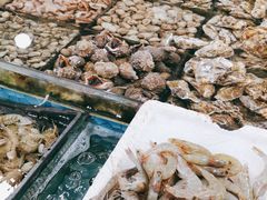 -呼和浩特市融桥商贸有限公司-停车场