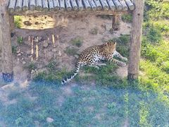 -西霞口神雕山野生动物世界