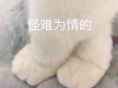 -PIZZA BIANCA(民园店)