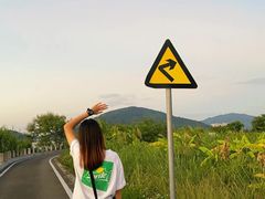 -芒洲湿地公园