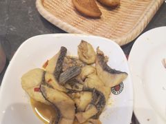 -魔石泡泡鱼(当涂店)
