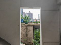 -香港大学