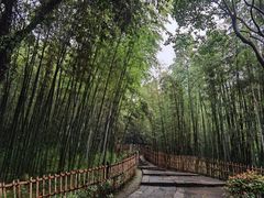 -乌镇东栅景区