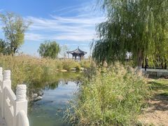 -水西公园