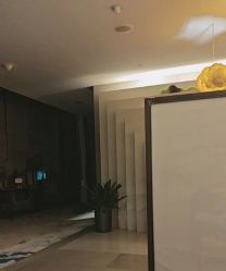 点击看大图 -iSpa