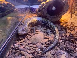 -酷嗒动物文化乐园(cutezoo西溪乐天城店)