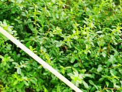 -三江森林温泉度假区