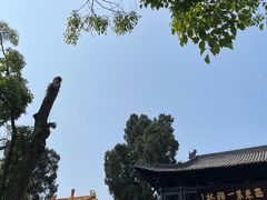 -中国观音故里广德景区