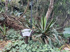 -西双版纳基诺山寨