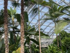 -北京植物园-展览温室