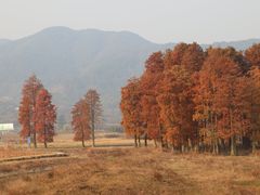 -四明湖