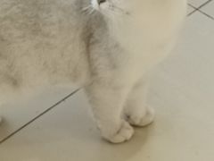 -怪兽屋·羊驼·猫咖·狗咖(俊华广场店)