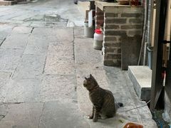 -小洲村