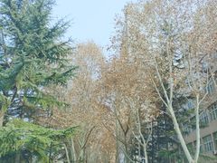 -西安石油大学(雁塔校区)