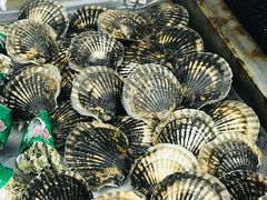 -渔民船说·北塘海鲜·天津菜·海肠捞饭(北塘古镇店)