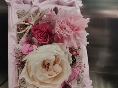 -植物学家的女儿(北马道巷店)