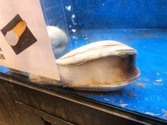 象拔蚌-盒马鲜生(皇庭广场店)