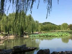 -南翠屏公园