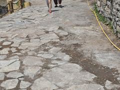 -芦芽山旅游度假区
