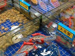 -明记海鲜大排档(巽寮湾店)