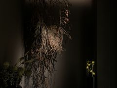 -安屿an·spa(卓悦中心商场店)