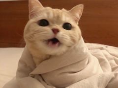 -玉泉酱羊骨饭庄(青吉里店)