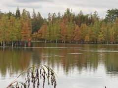 -白鹭湾湿地公园