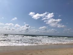 -黄金海岸