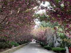 -石岛赤山风景区