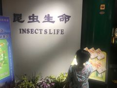 -上海昆虫博物馆