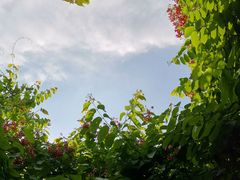 -白沙门生态公园