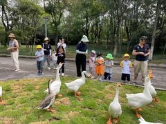 -惠洛克国际儿童之家(绿博园中心)