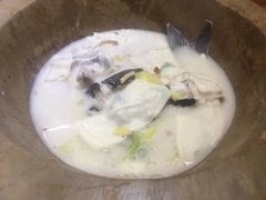 -滇香肴·云南菜蒸汽石锅鱼(云南北路店)