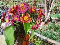 -龙猫意杯花园餐厅(芙蓉湖店)