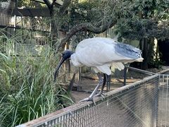 -费瑟代尔野生动物园