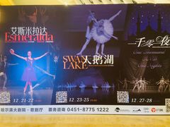 -哈尔滨大剧院