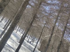 -红崖峡谷景区