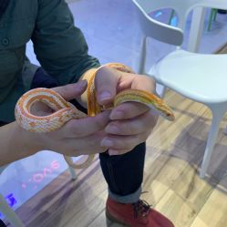 -Moni星球萌宠·小马宝莉·灵蛇·高端高阶全萌宠互动体验俱乐部(红豆国际广场店)
